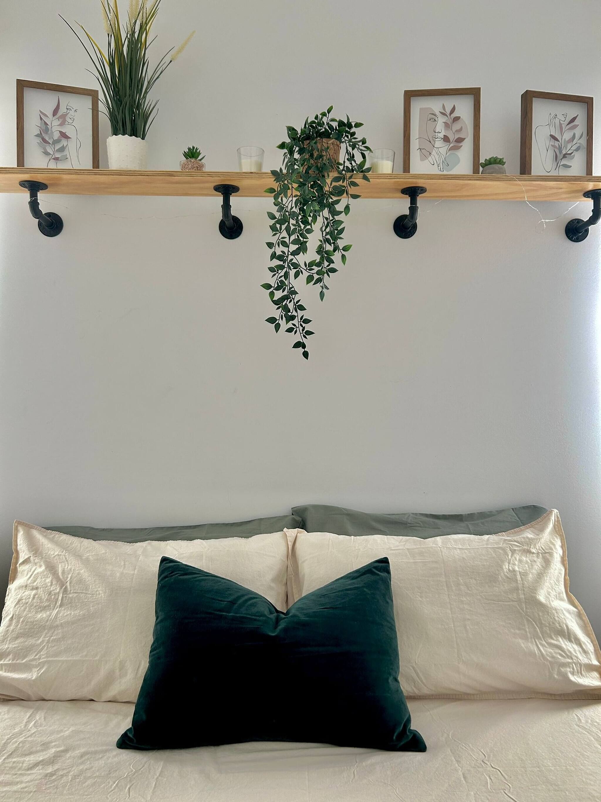 A bed with two pillows, a hanging plant, and a shelf with framed artwork and small plants.