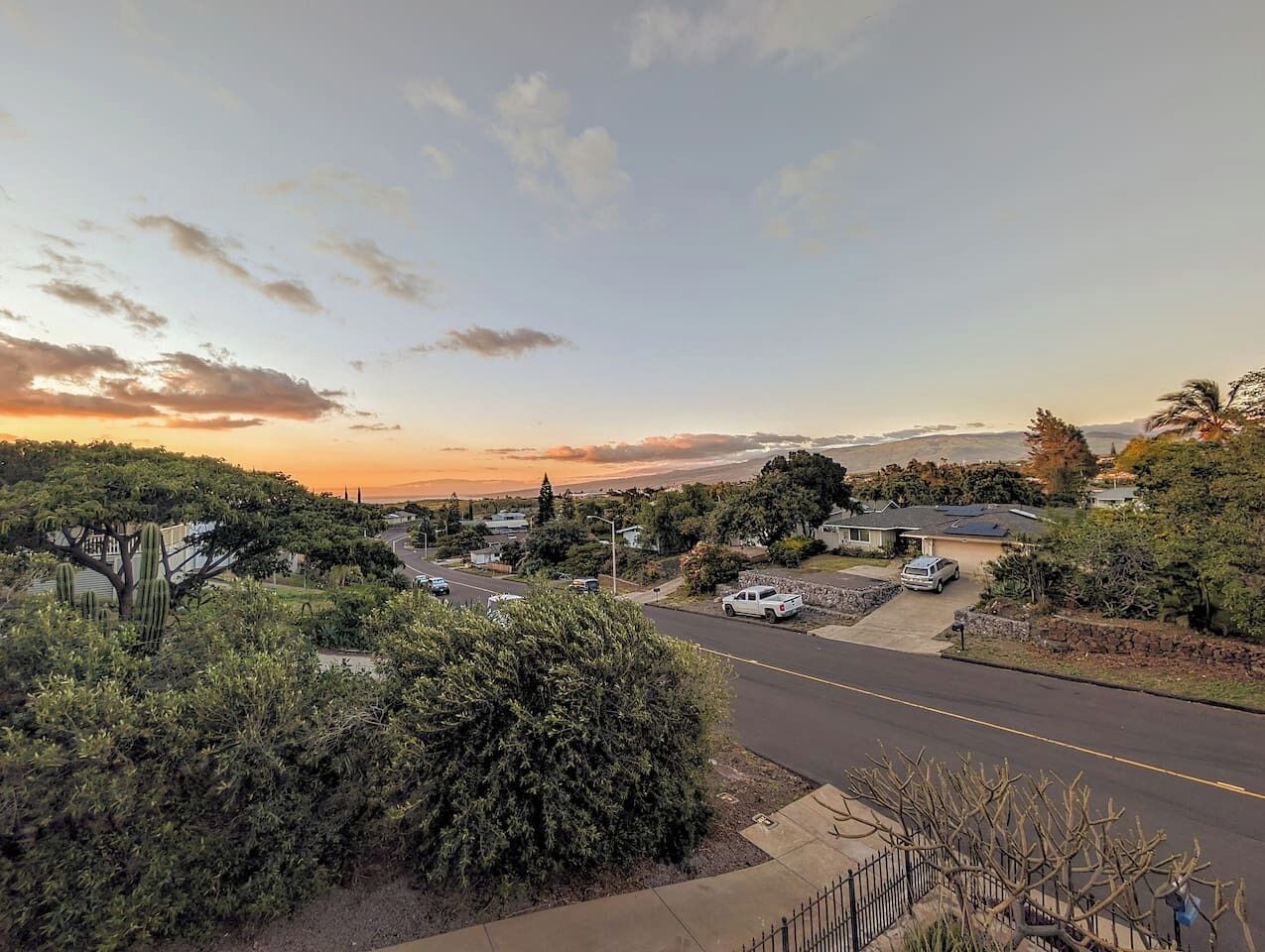 A residential street with houses, a clear sky, and a cactus in the foreground.