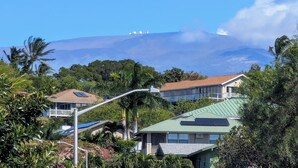 Un quartier résidentiel avec des maisons, un lampadaire et une montagne en arrière-plan.