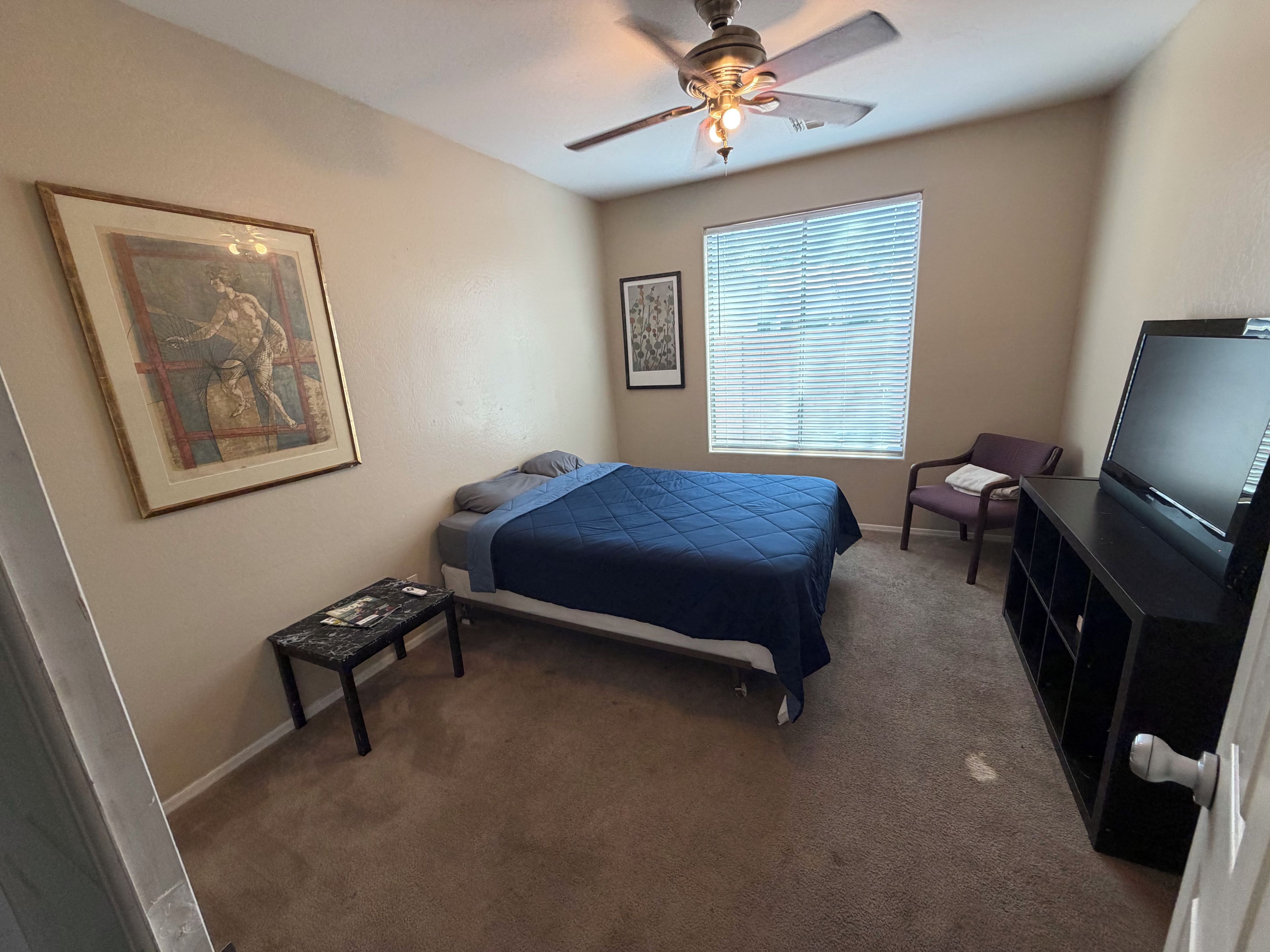 A bedroom with a bed, a ceiling fan, a television, a window with blinds, and a framed picture on the wall.