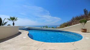 Una piscina curvada con agua azul cristalina, rodeada por una terraza de concreto, palmeras y vistas al océano.