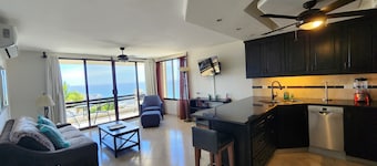 Ocean view endless.  Walk to beach. 1bdrm