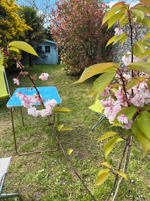 A garden with flowering plants and a blue table. - SMALL STONE & WOOD HOUSE (Blainville-sur-Mer)