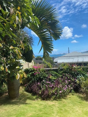 Property grounds - Kaneohe Bay Ocean Views (Kaneohe)