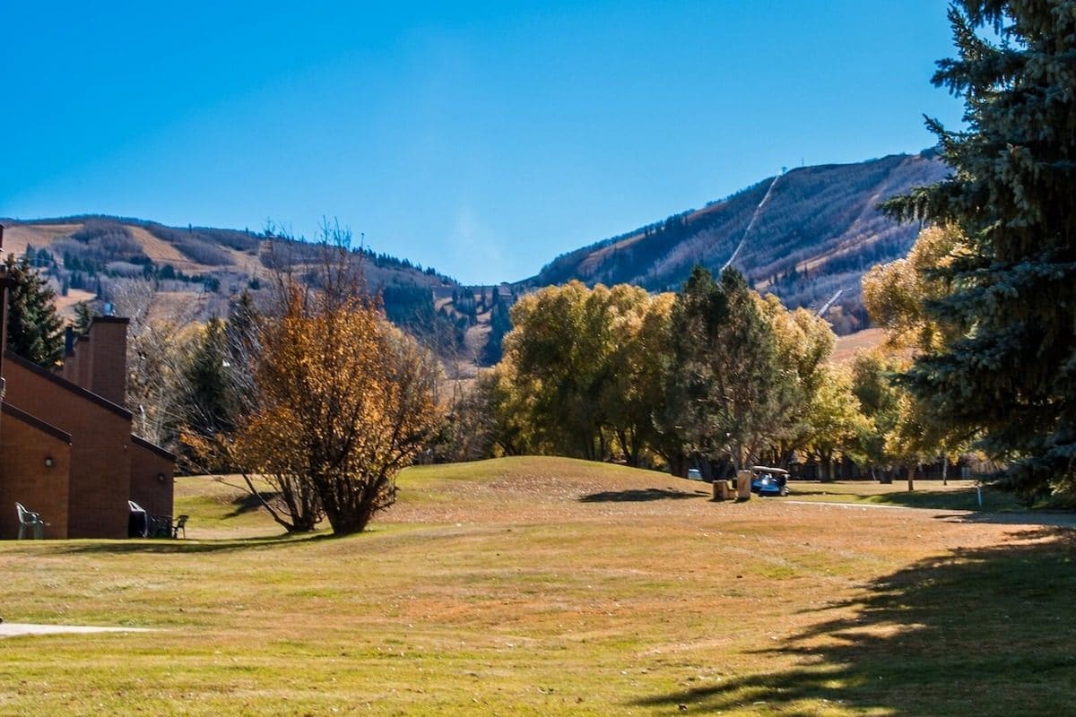 A grassy area with a building on the left and a mountain in the background.
