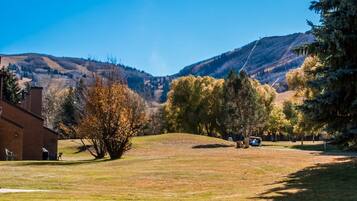 A grassy area with a building on the left and a mountain in the background.