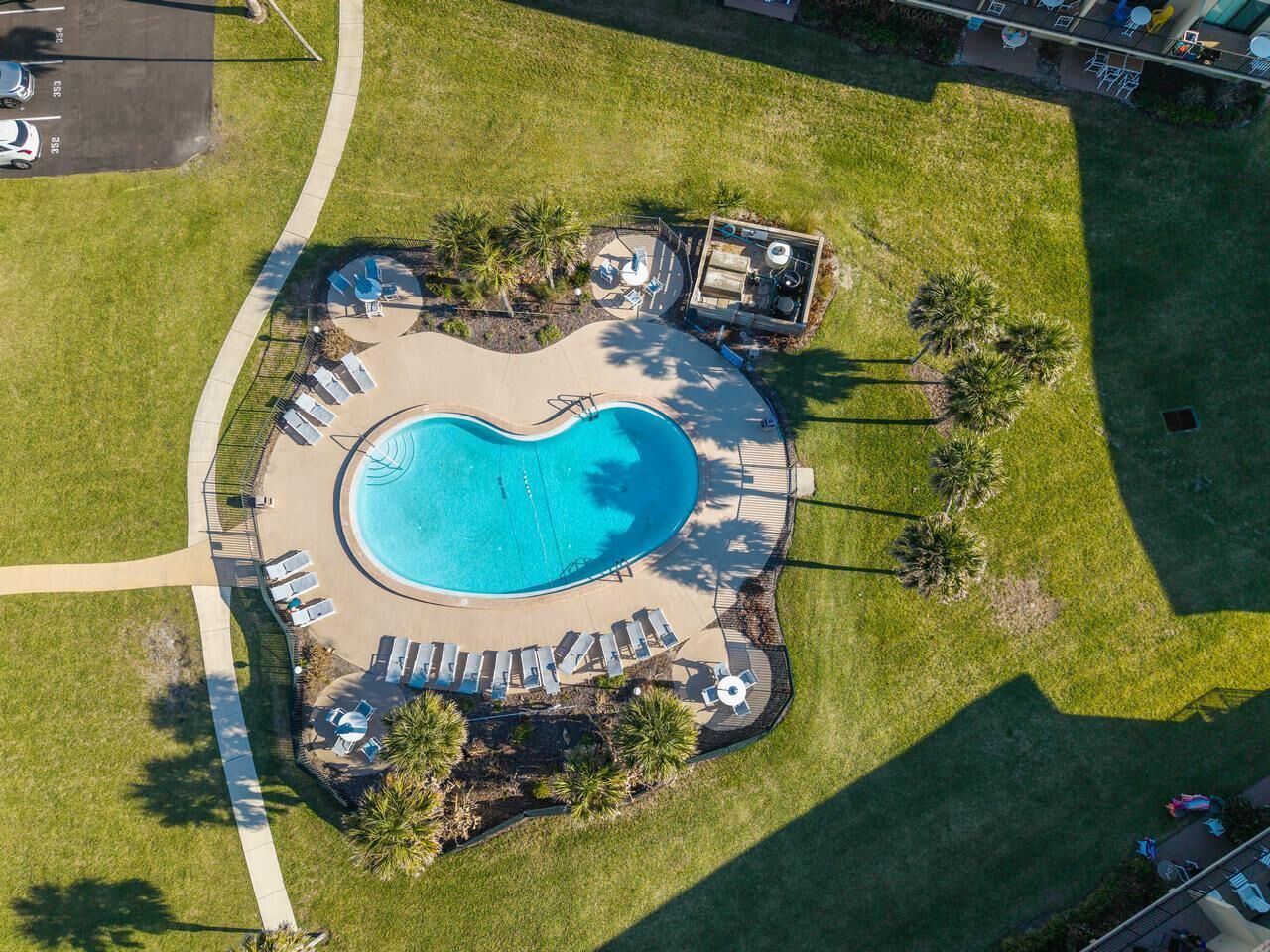 An aerial view of a swimming pool with lounge chairs and palm trees.