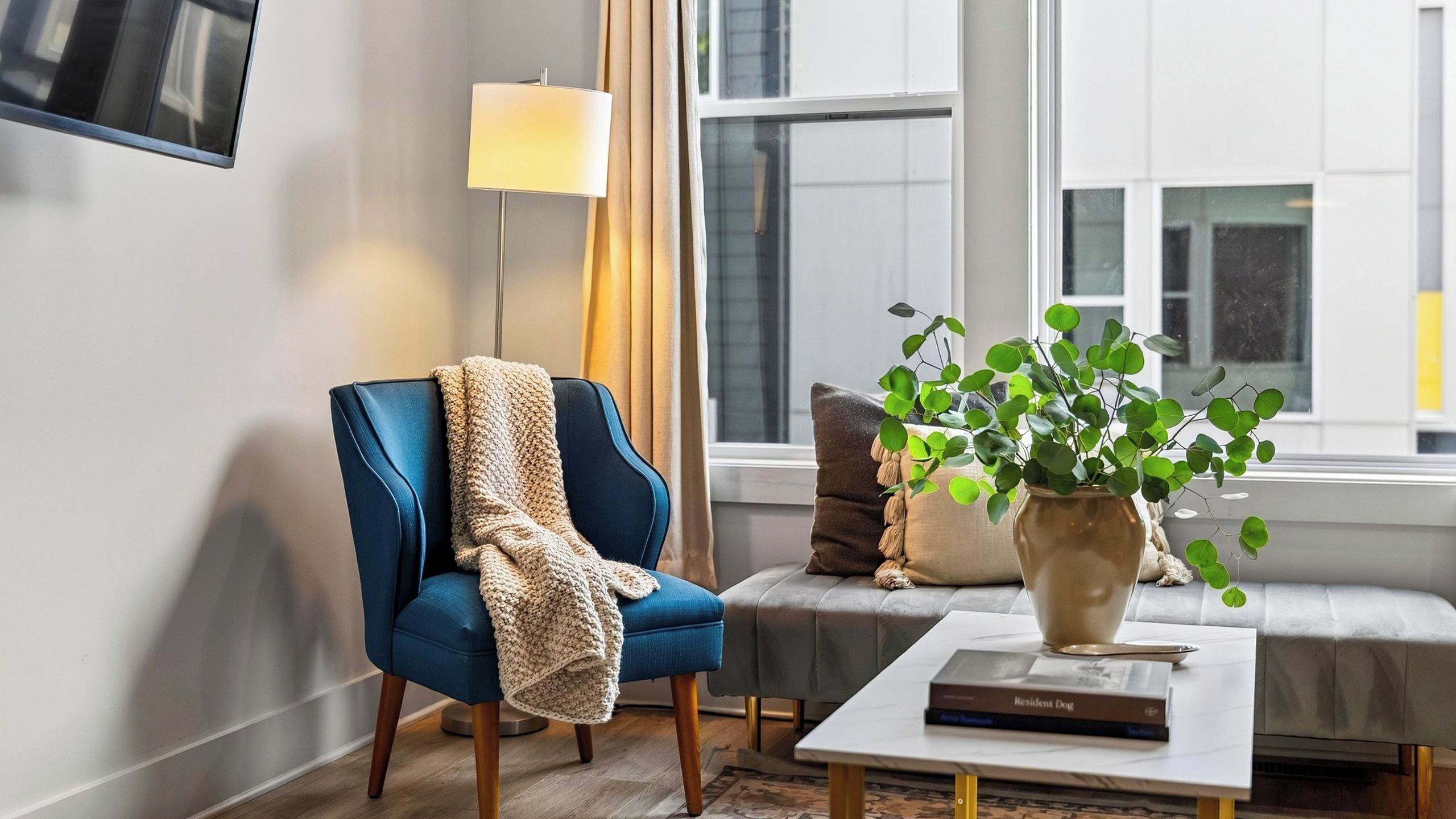 A modern living room with a blue armchair, a floor lamp, a coffee table with a book, and a potted plant.