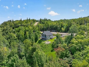 Ein modernes Haus, umgeben von dichtem Wald, mit blauem Himmel.