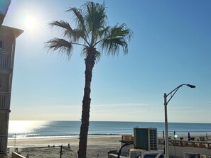 Blick auf einen Strand mit einer Palme, einer Straßenlaterne und einem Gebäude mit einem Balkon.