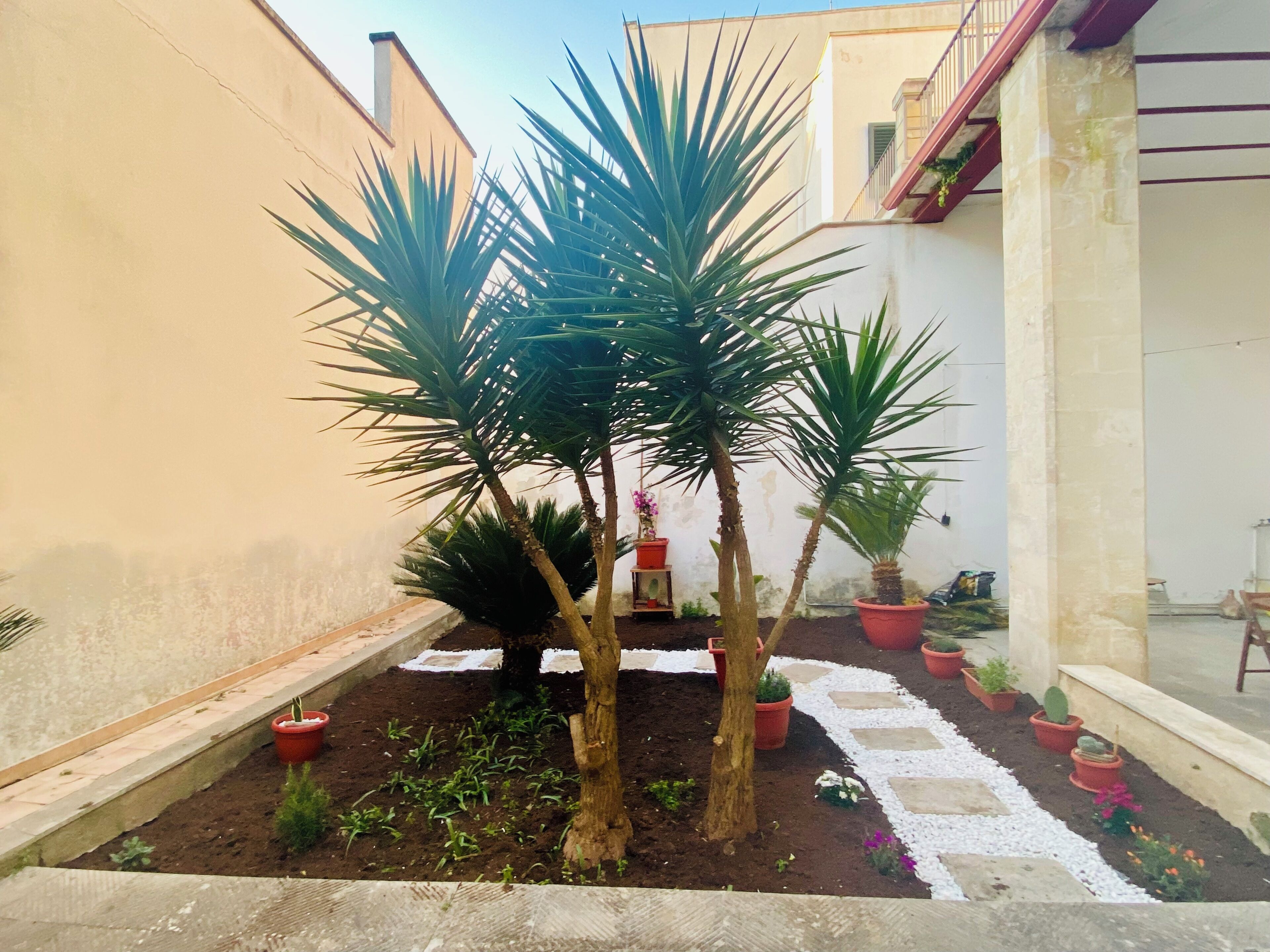 Um pátio com plantas em vasos e um caminho de pedra.