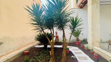 A courtyard with potted plants and a stone pathway.