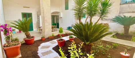 A courtyard with potted plants, a stone pathway, and a building with a balcony.