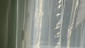 A room with a window covered by sheer curtains, a radiator, and a sofa.