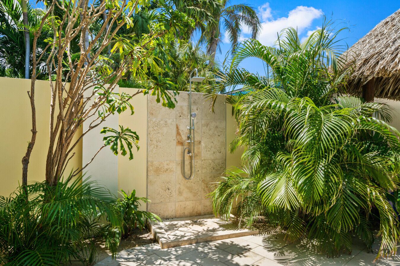 Un jardin tropical avec un mur en béton, une structure à toit de chaume et un espace douche.