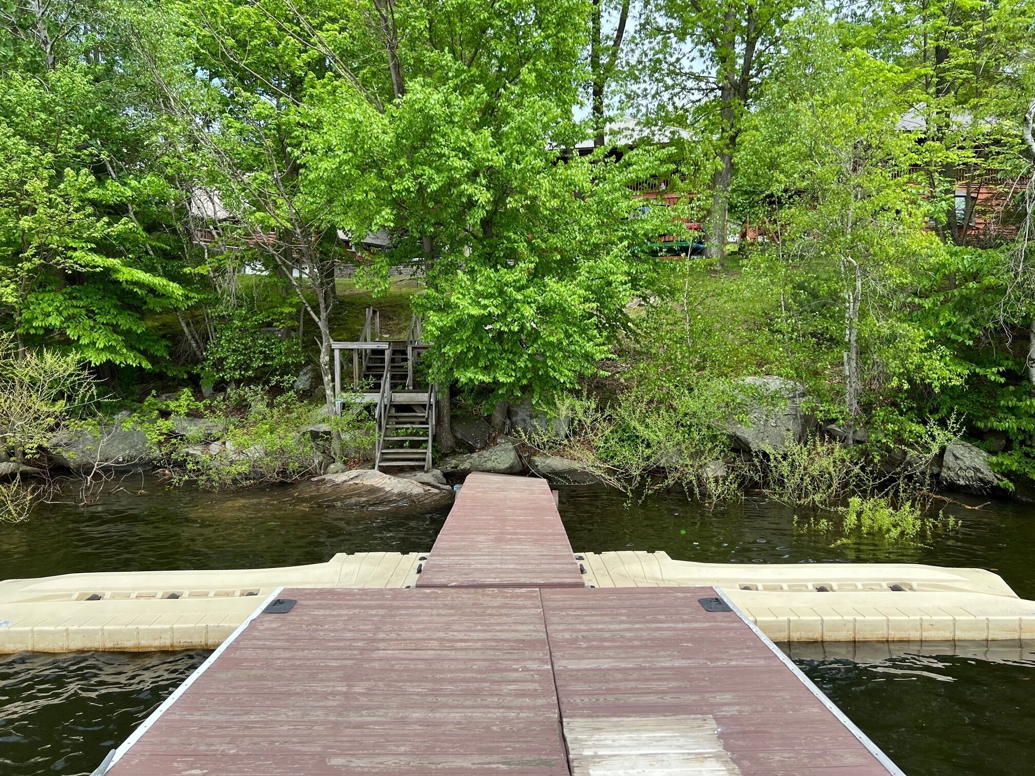 A wooden dock leading into a body of water, surrounded by lush greenery and trees.