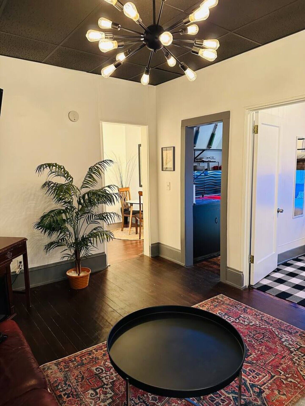 A room with a modern ceiling light fixture, a potted plant, a patterned rug, and a door leading to another room.