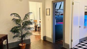 A room with a modern ceiling light fixture, a potted plant, a patterned rug, and a door leading to another room.
