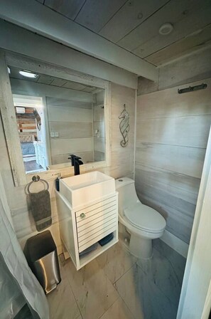 A bathroom with a white sink, a toilet, and a mirror. - Casco Tiny house, and HOT TUB! (Casco)