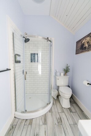 Een badkamer met een douchecabine, een toilet en een kleine plant aan de muur.