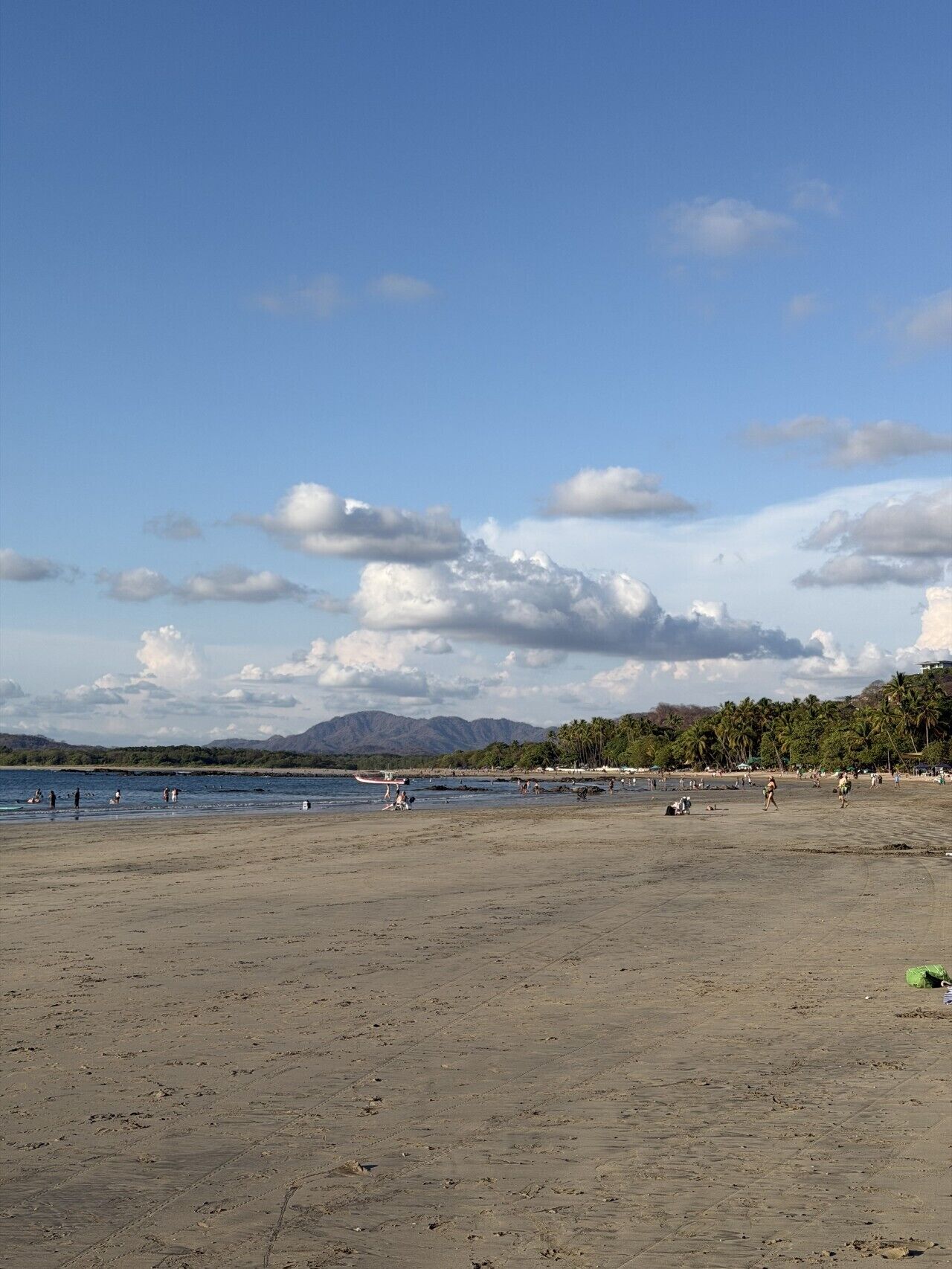 A wide sandy beach with people and a boat, palm trees, and mountains in the distance.