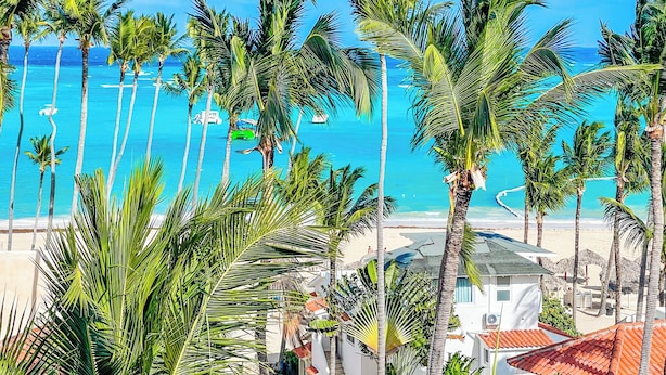 A beach with palm trees, a clear blue sky, and a view of the ocean. - Los Corales COCOS Suites HOTEL POOL&SPA (Bavaro)