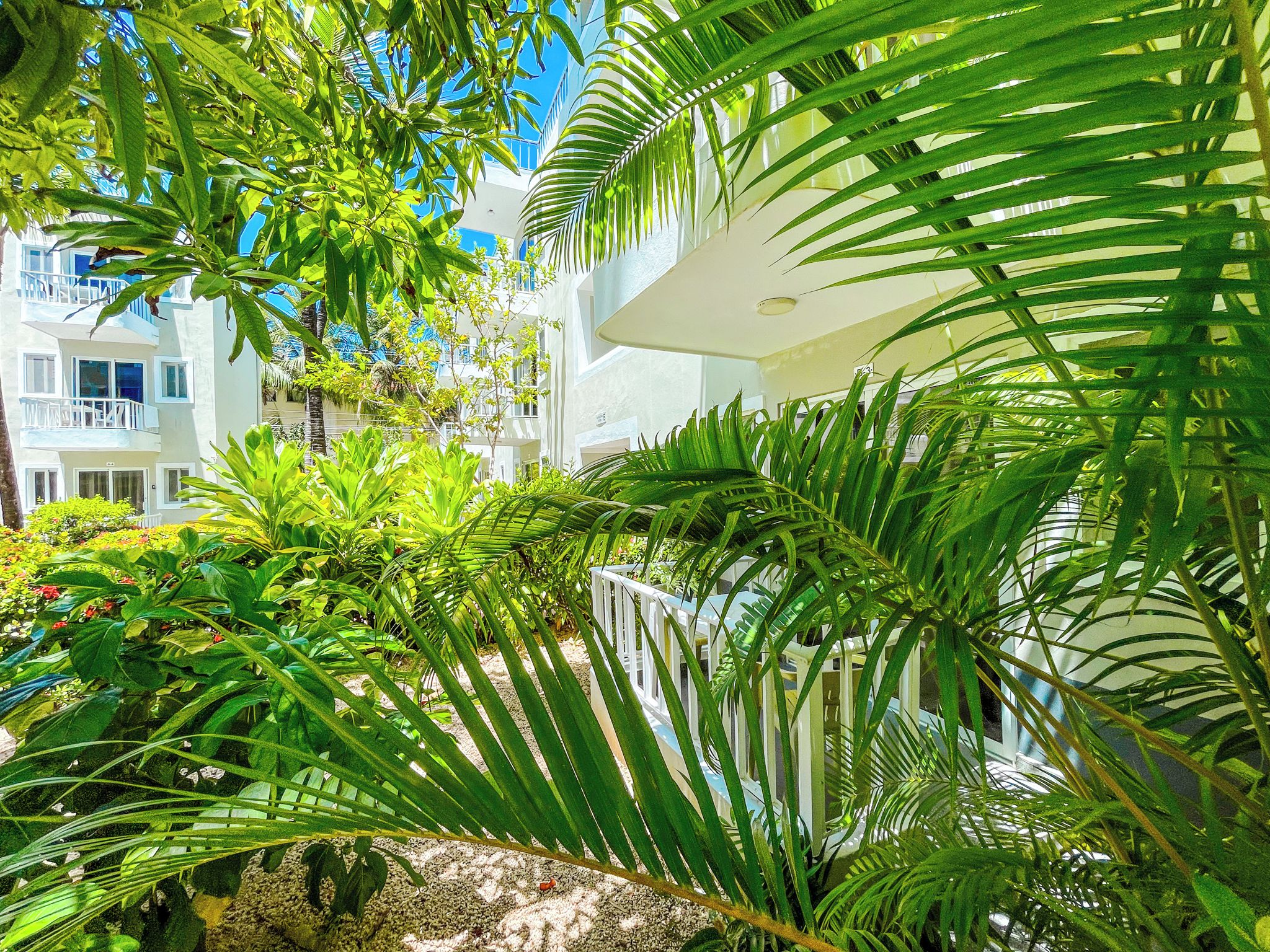 Un exuberante jardín con palmeras y diversas plantas, un edificio blanco con balcones y un cielo azul despejado.