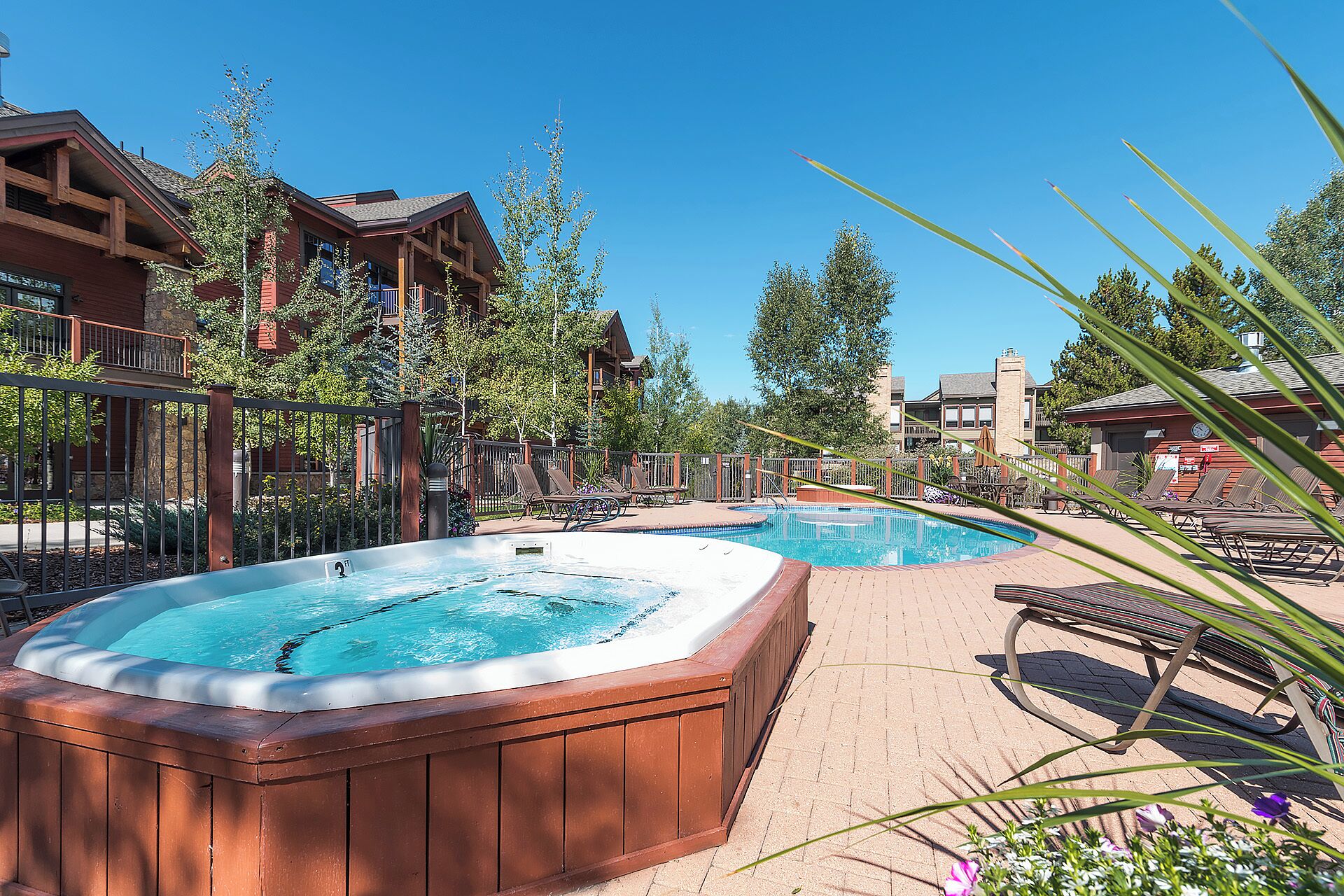 Zona de piscina amb banylles d'hidromassatge i gandules, envoltada d'edificis i arbres.