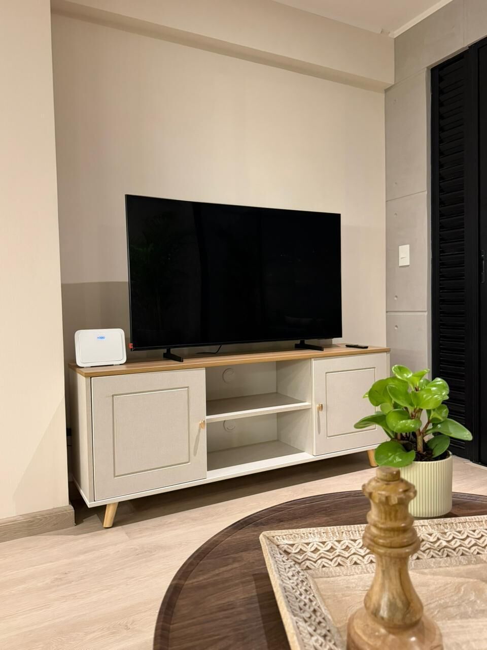A modern living room with a flat-screen TV on a wooden stand, a white cabinet with two doors, and a potted plant on a round table.