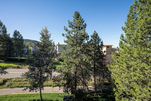 A residential area with houses, a road, and a grassy area with trees. - TL2301 | Great Location | Top Floor | Beautiful Décor | Winter Shuttle (Steamboat Springs)