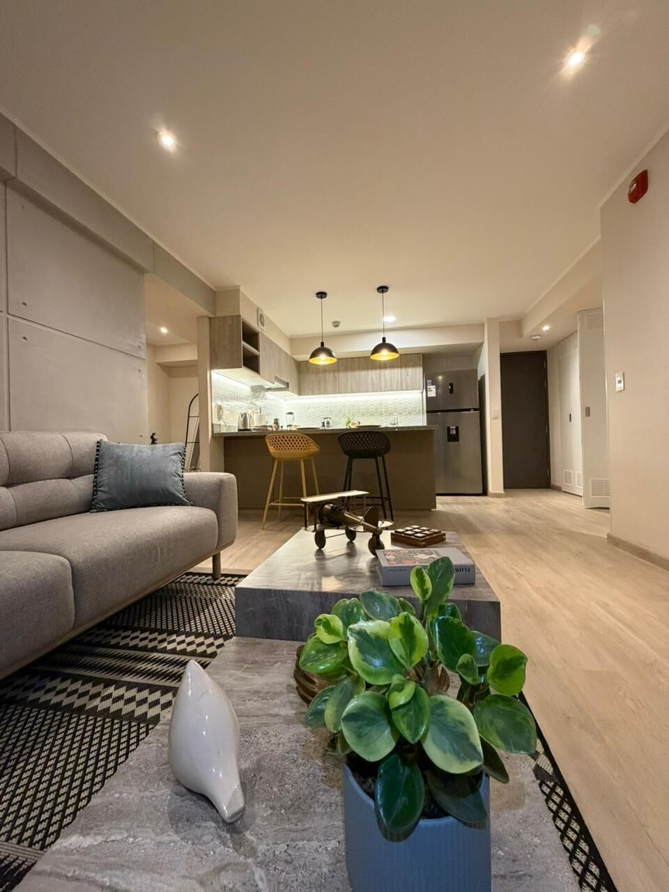 Un salon moderne avec un canapé, une table basse et une plante en pot.