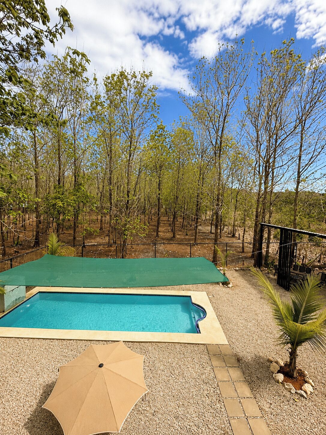 Ein Swimmingpool mit einer grünen Veranda, umgeben von Bäumen und blauem Himmel.