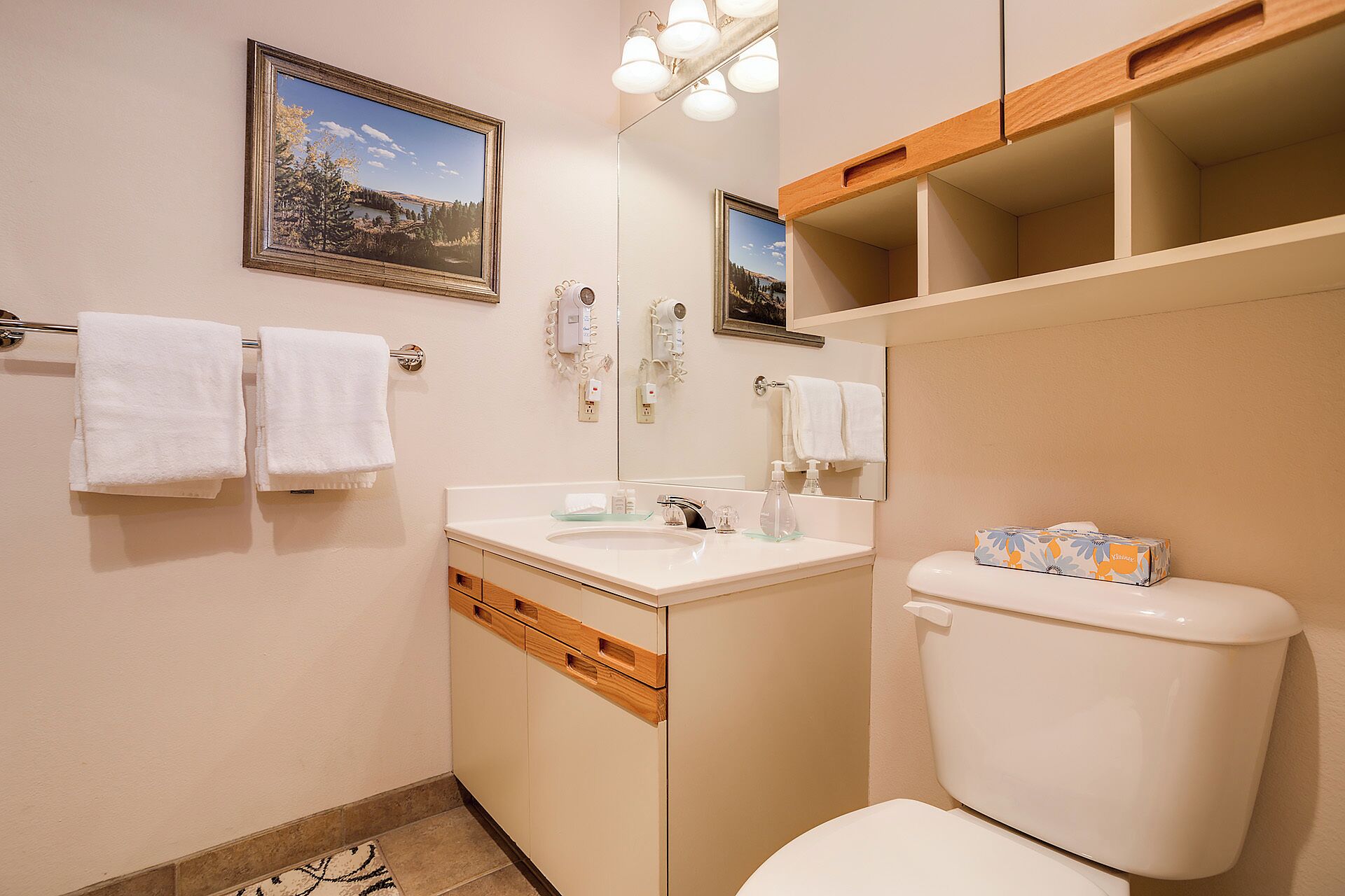 Une salle de bain équipée de toilettes, d’un lavabo et d’un porte-serviettes. Deux tableaux encadrés ornent le mur.