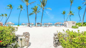Uma praia com palmeiras, um caminho que leva à praia e guarda-sóis.