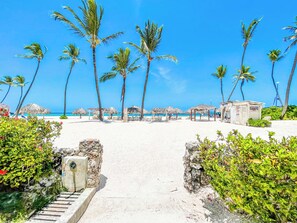 Uma praia com palmeiras, um caminho que leva à praia e guarda-sóis.