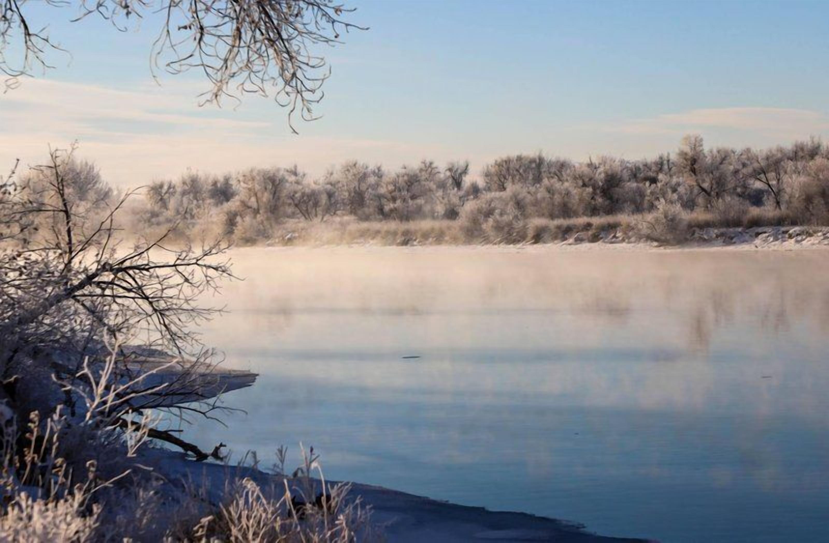A calm lake with sparse vegetation and a clear sky.