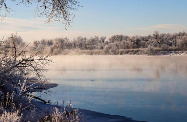 A calm lake with sparse vegetation and a clear sky.