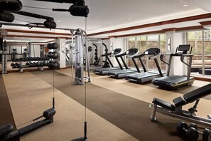 A gym with treadmills, weight machines, and free weights. - Ritz-Carlton Luxury | Pool, Hot Tub & Gondola (Vail)