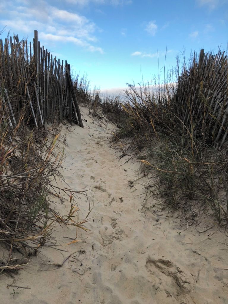A sandy path flanked by wooden fences and tall grasses, leading towards a distant horizon.