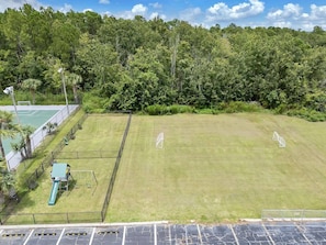 Ein eingezäunter Sportplatz mit Rutsche und Toren, umgeben von dichter Vegetation.