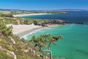 Paesaggio costiero con spiaggia, acque limpide e un albero.