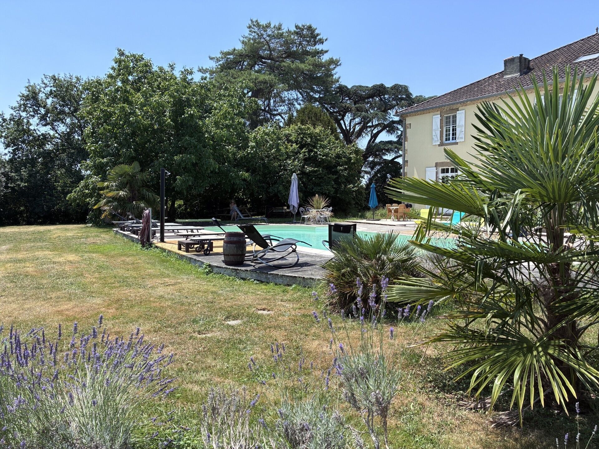 Un jardin avec une piscine, du mobilier d’extérieur et une maison.