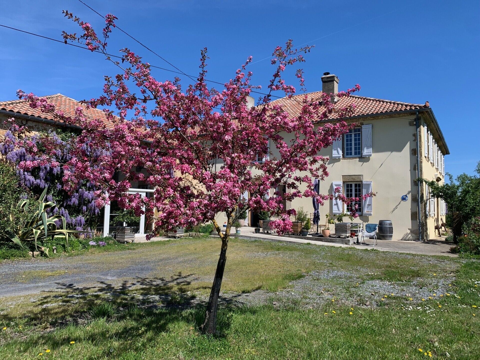 Une maison à deux étages, avec un toit recouvert de tuiles, un jardin devant avec des arbres en fleurs et un ciel bleu dégagé.