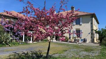 A two-story house with a tiled roof, a front garden with flowering trees, and a clear blue sky.
