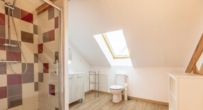 A small, modern bathroom with a skylight, a shower, a toilet, and a white cabinet. - La Banne - SAINT SAUVES D'AUVERGNE (SAINT SAUVES D'AUVERGNE)