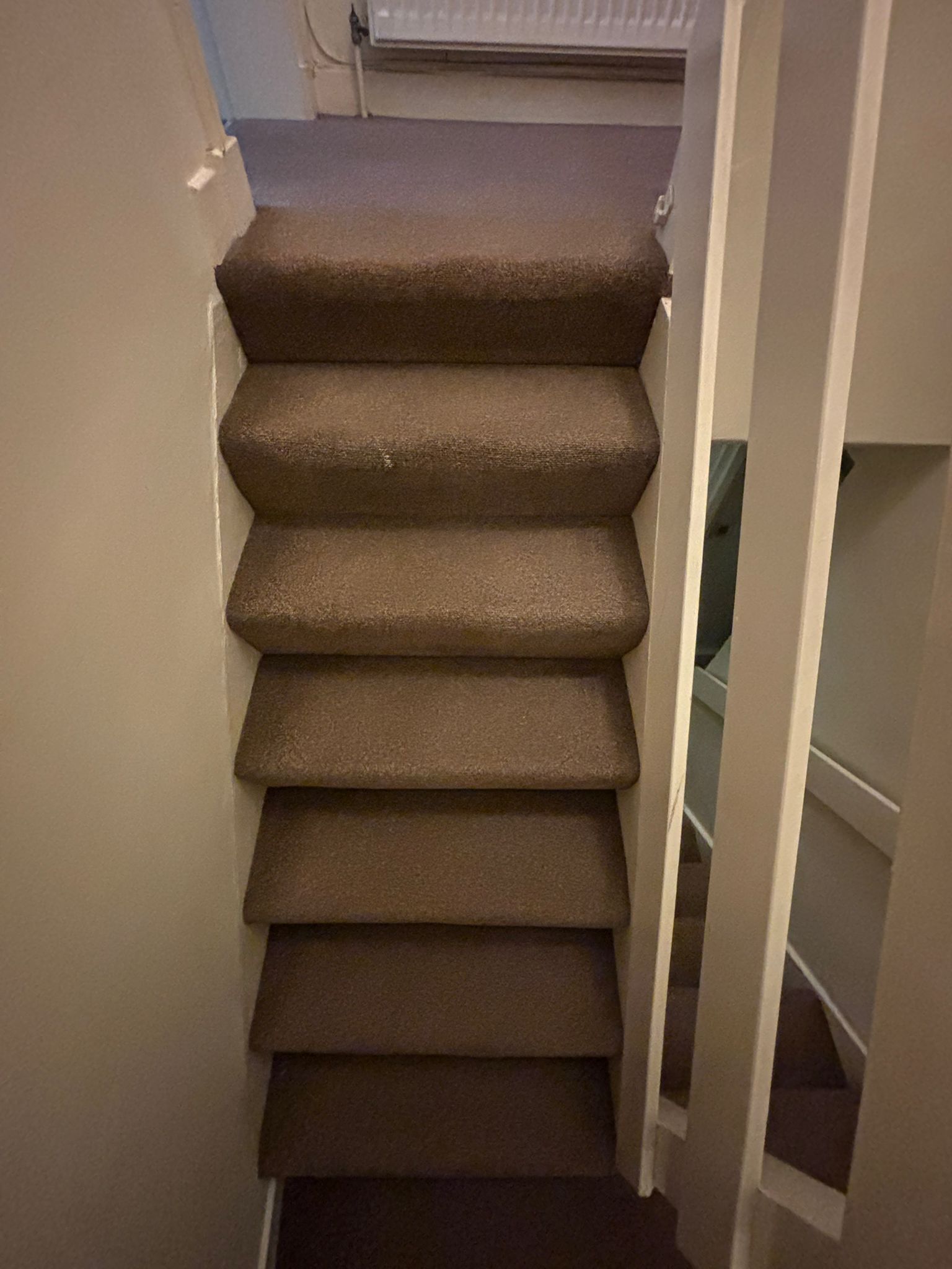 A carpeted staircase in a hallway with a white door on the right and a radiator above.