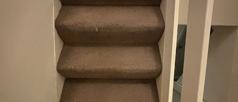 A carpeted staircase in a hallway with a white door on the right and a radiator above.
