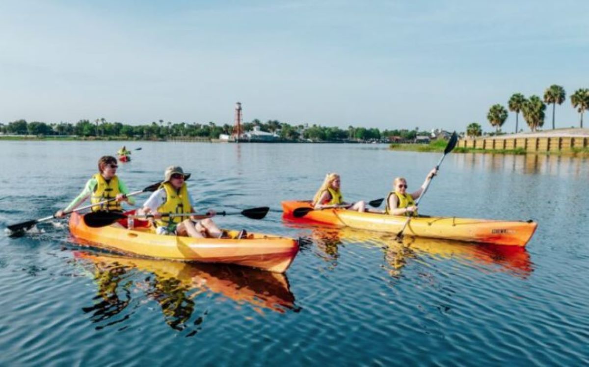 A group of people kayaking on a calm body of water with a distant shoreline and palm trees.