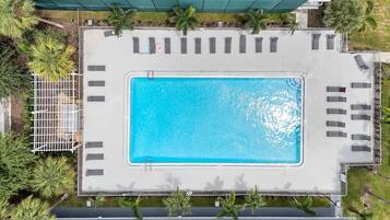 Ein Dachpool mit einer umlaufenden Terrasse, Liegestühlen und Palmen.