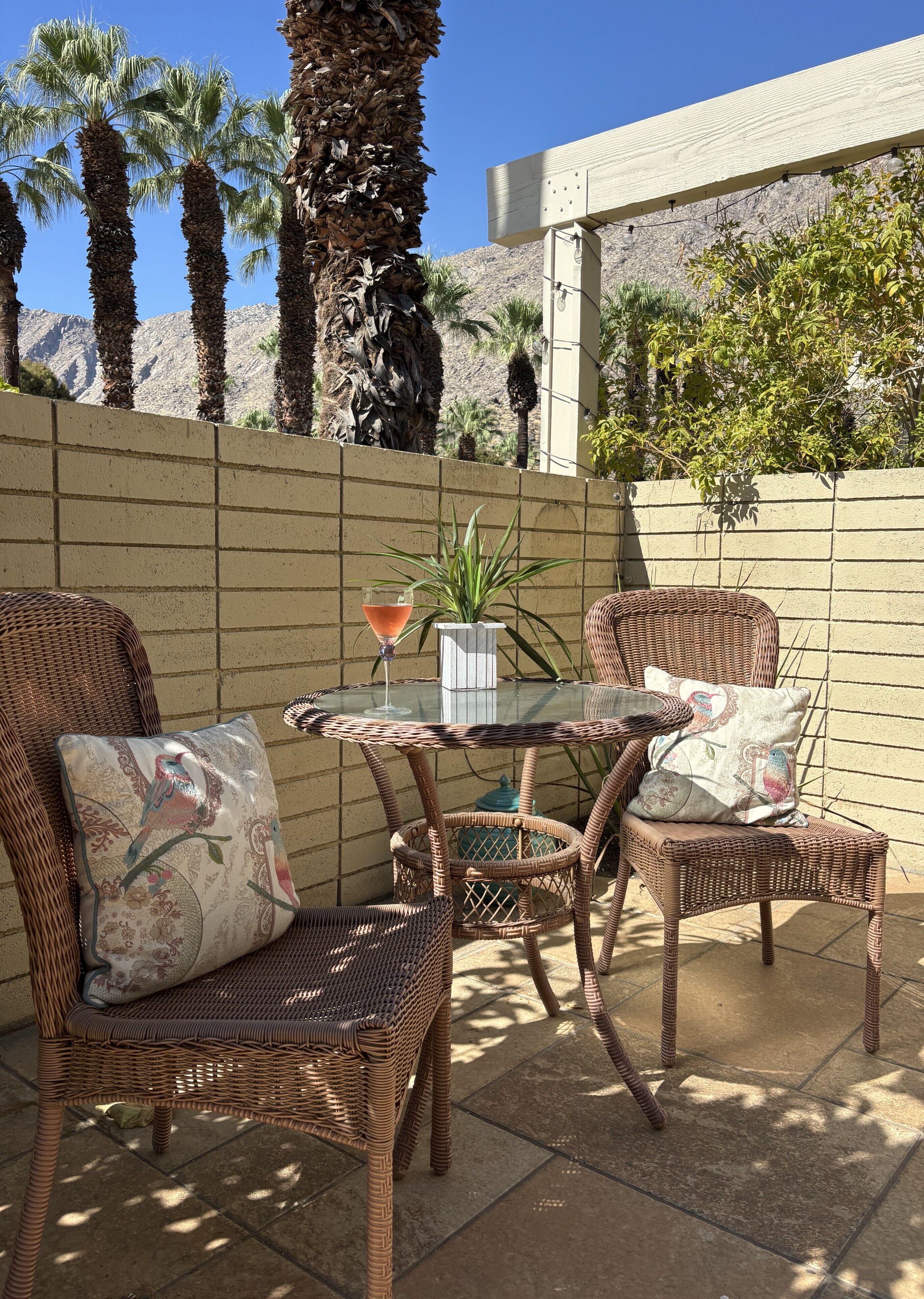 Un espace patio aménagé avec des meubles en osier, une table en verre et une plante en pot.